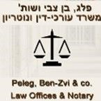 פלג,בן-צבי ושות'