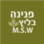 פנינה בליץ-מטפלת זוגית ומשפחתית