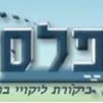 פלס - בדק בית בע"מ