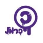 כרמל הנדסה - בדק בית