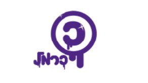 כרמל הנדסה - בדק בית – גלריה – 1