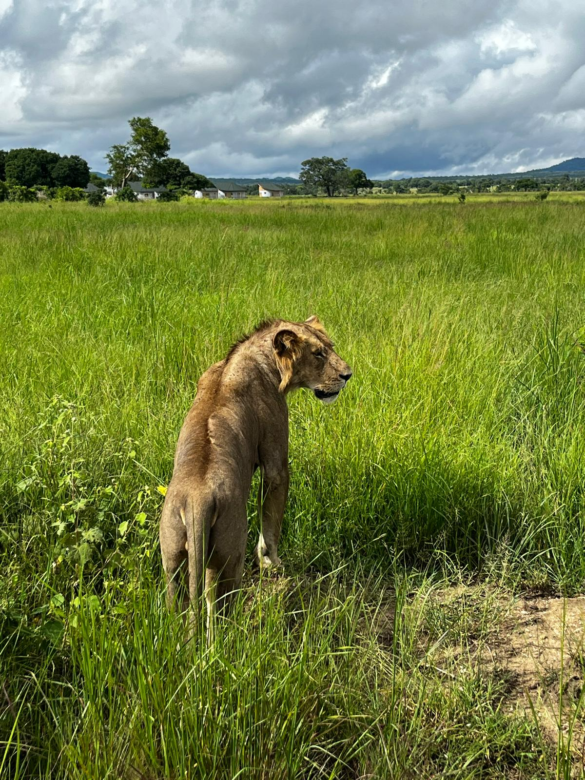 לקוח טסט בדיקות משפטי – גלריה – 1