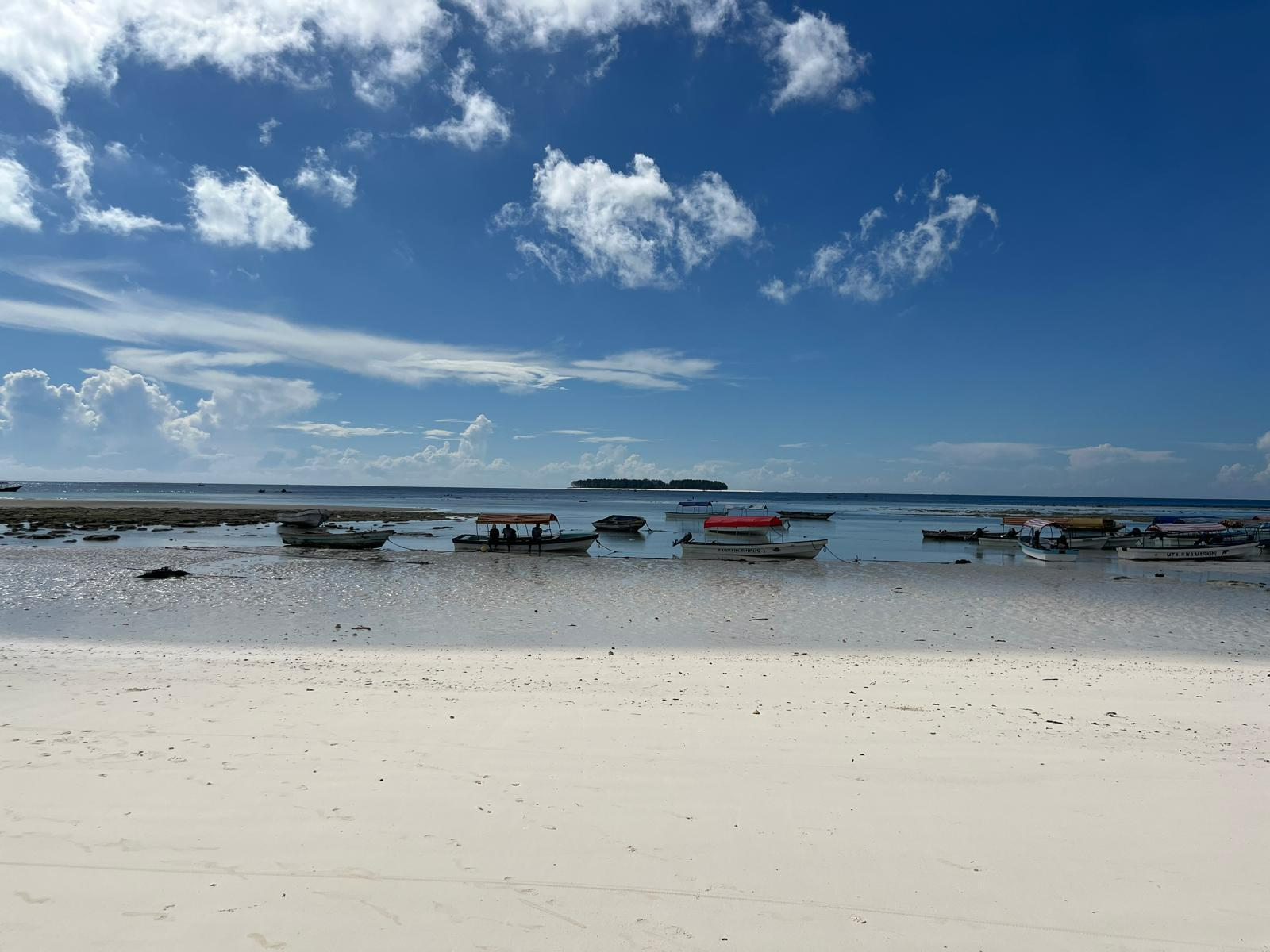 לקוח טסט בדיקות משפטי – גלריה – 3