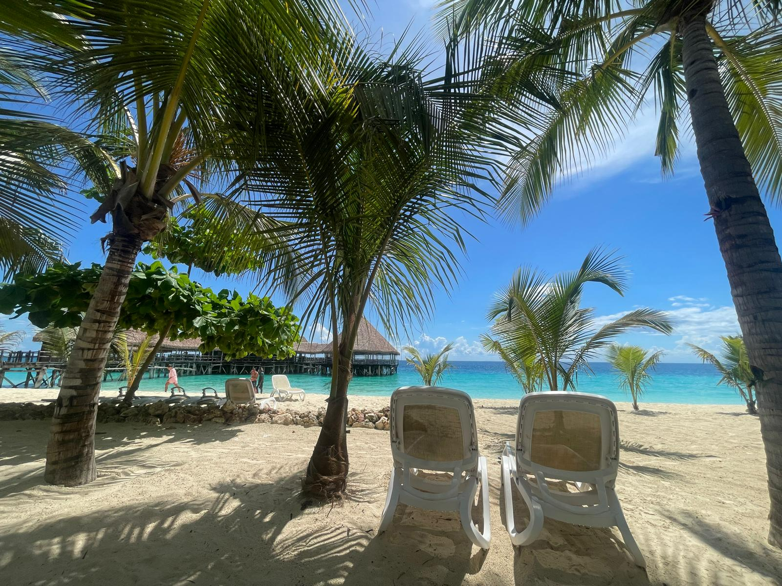 לקוח טסט בדיקות משפטי – גלריה – 4