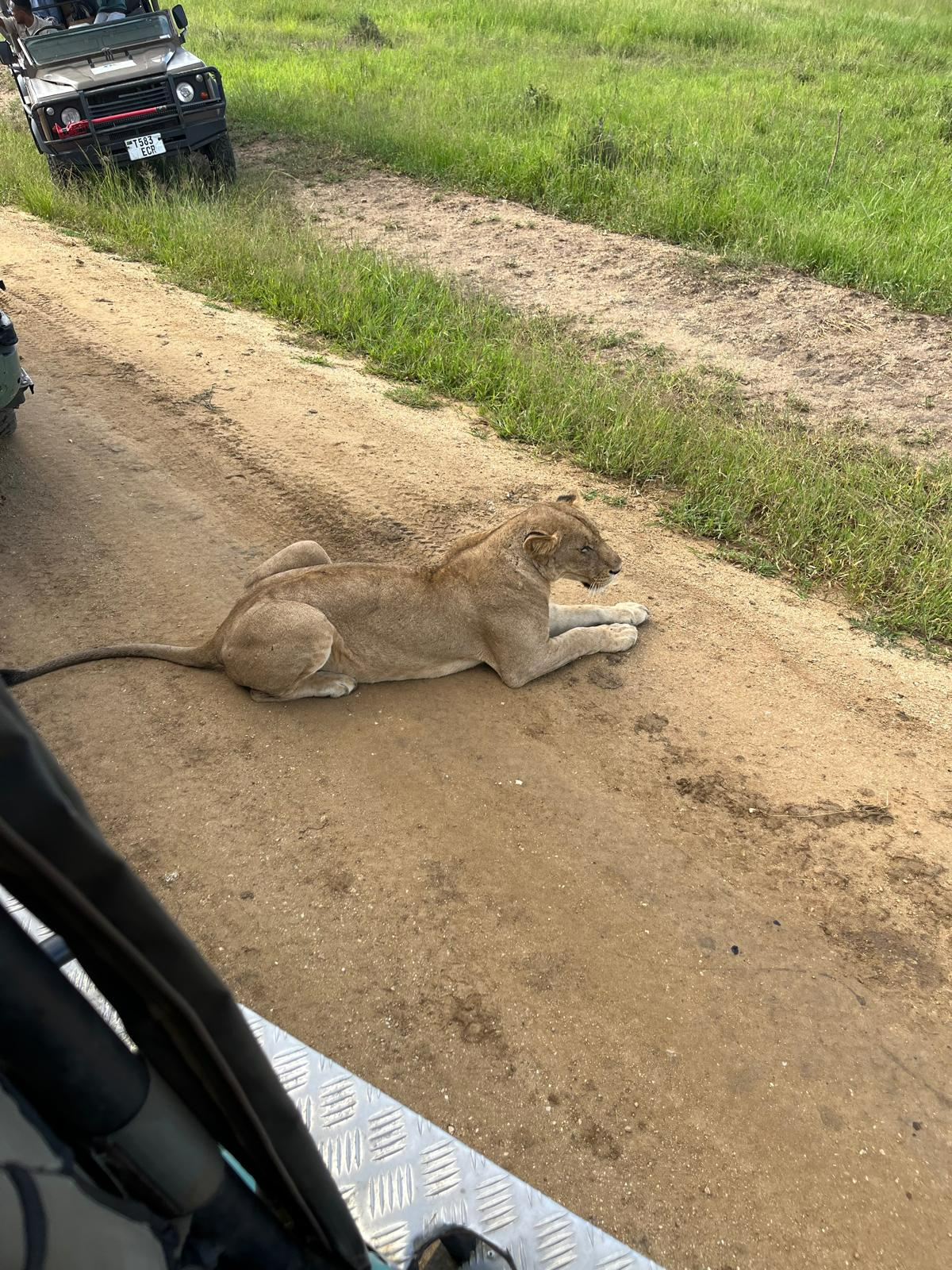לקוח טסט בדיקות משפטי – גלריה – 2