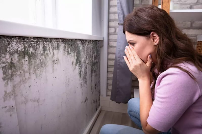 כנגד כל הסיכויים: מתקין הדשא הסינתטי שילם על הנזילות פחות מ-10% מסכום התביעה(1)
