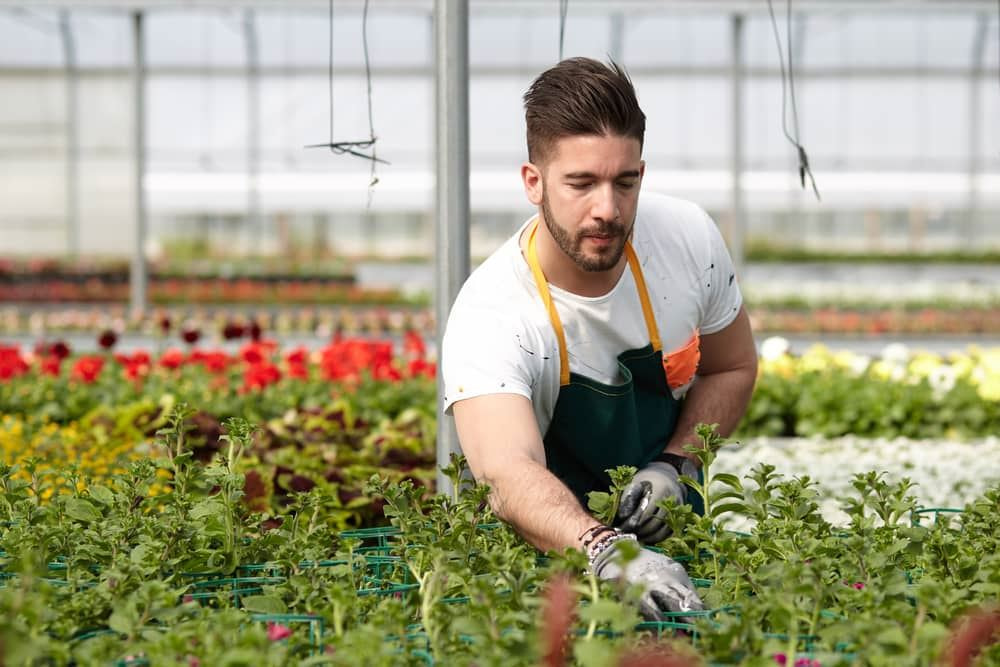 הסכם קיבוצי וצו הרחבה – הזכויות שאתם לא יודעים שמגיעות לכם