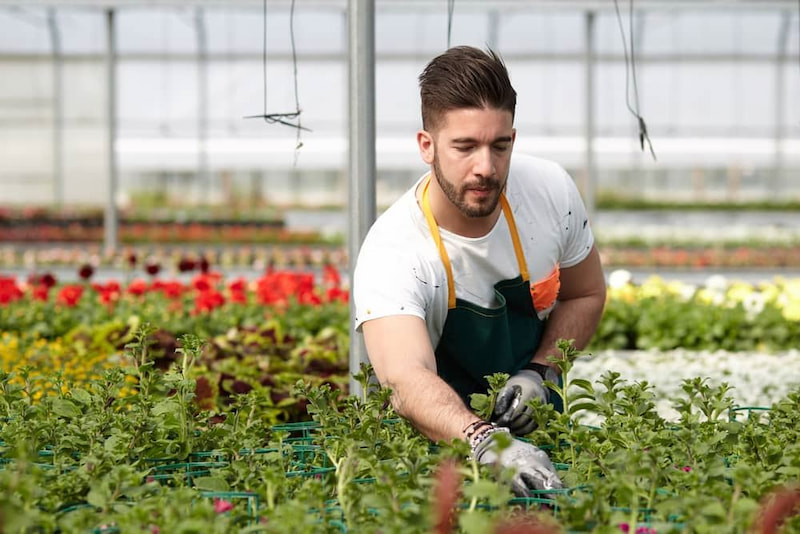 הסכם קיבוצי וצו הרחבה – הזכויות שאתם לא יודעים שמגיעות לכם