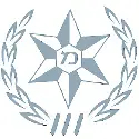 טפסי משטרת ישראל